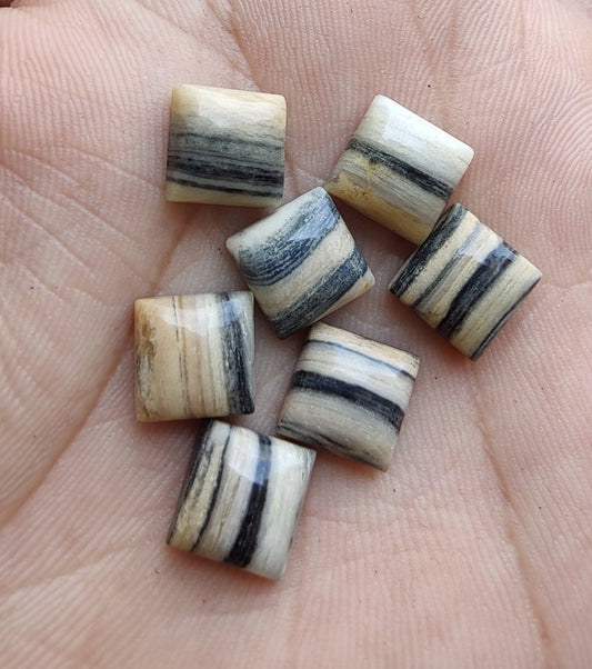 NATURAL ZEBRA JASPER SQUARE SHAPE CABOCHON FLAT BACK CALIBRATED GEMSTONES, ALL SIZES AVAILABLE