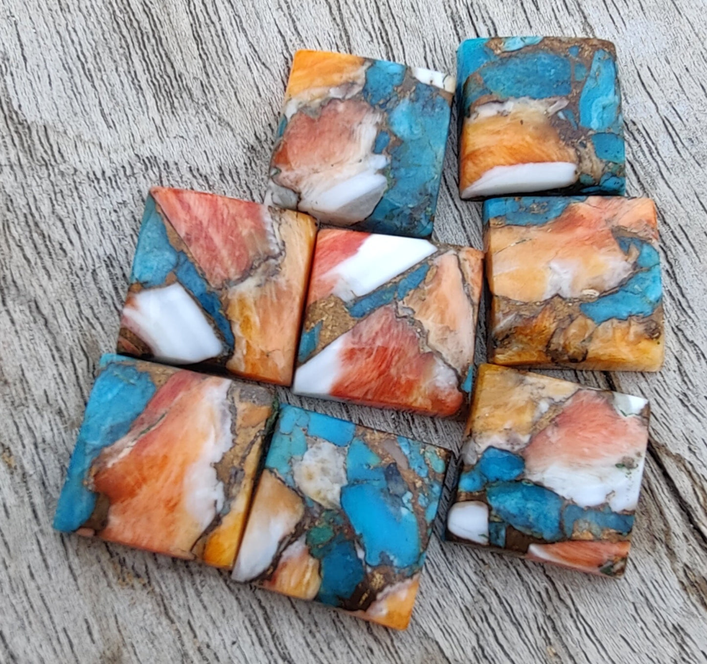 AAA+ QUALITY NATURAL SPINY OYSTER TURQUOISE SQUARE SHAPE FLAT BACK CABOCHON CALIBRATED GEMSTONES, ALL SIZES AVAILABLE