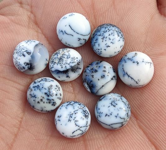 AAA+ QUALITY NATURAL DENDRITIC AGATE ROUND SHAPE CABOCHON FLAT BACK CALIBRATED GEMSTONES, ALL SIZES AVAILABLE