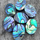 TOP QUALITY NATURAL ABALONE SHELL OVAL SHAPE CABOCHON FLAT BACK CALIBRATED WHOLESALE LOOSE GEMSTONES, ALL SIZES AVAILABLE