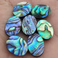 TOP QUALITY NATURAL ABALONE SHELL OVAL SHAPE CABOCHON FLAT BACK CALIBRATED WHOLESALE LOOSE GEMSTONES, ALL SIZES AVAILABLE