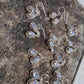 925 SOLID STERLING SILVER NATURAL RAINBOW MOONSTOONE GEMSTONE HOOK EARRING