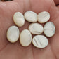 AAA+ QUALITY MOTHER OF PEARL OVAL SHAPE CABOCHON FLAT BACK CALIBRATED GEMSTONES, ALL SIZES AVAILABLE