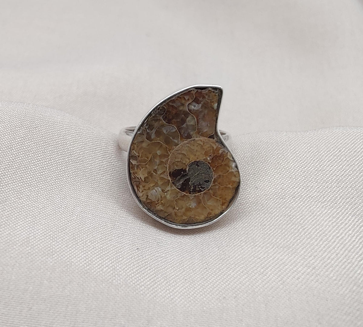 Ammonite Fossil Ring: 925 Sterling Silver Boho Statement Jewelry