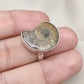 Ammonite Fossil Ring: 925 Sterling Silver Boho Statement Jewelry
