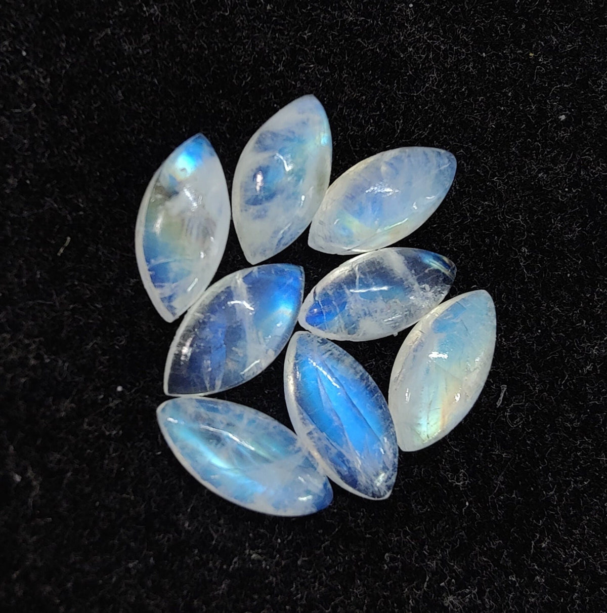 AAA+ Quality Natural Rainbow Moonstone Marquise Shape Cabochon Flat Back Calibrated Wholesale Gemstones, All Sizes Available