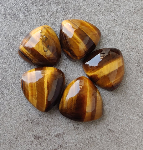 Natural Tiger Eye Trillion Shape Cabochon Flat Back Calibrated AAA+ Quality Wholesale Gemstones, All Sizes Available