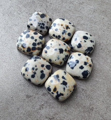 Natural Dalmatian Jasper Square Cushion Shape Cabochon Flat Back AAA+ Quality Calibrated Wholesale Gemstones, All Sizes Available